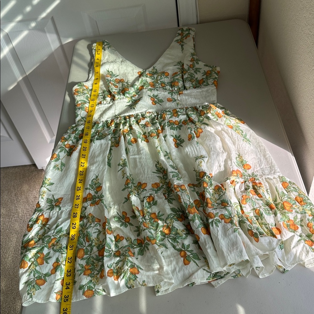 NWT Taylor Cream Mini Dress with Orange Blossom Print Size 10 - Picture 9 of 14